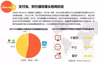 2017上半年中國第三方移動(dòng)支付市場研究報(bào)告 高清版解析
